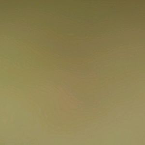 Meet your Posher, Lacy